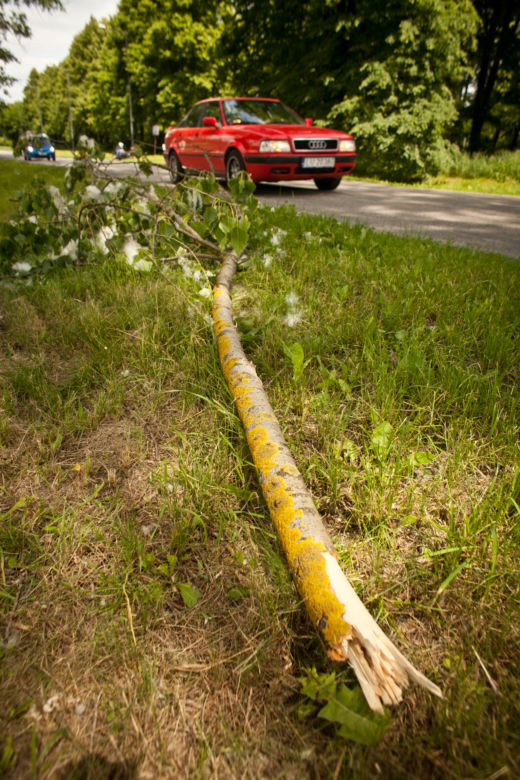 konar spadł na auto