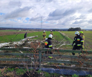 Interwencje Strażaków przy likwidacji szkód spowodowanych przez gwałtowny wiatr i burze