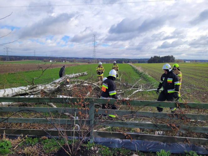 Interwencje Strażaków przy likwidacji szkód spowodowanych przez gwałtowny wiatr i burze
