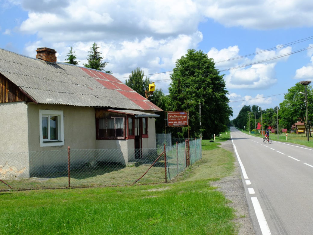 Szpaki straszą piratów