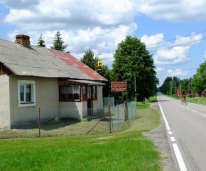 Szpaki straszą piratów