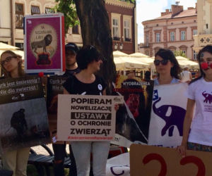 Happening w obronie zwierząt w cyrku [ZDJĘCIA]