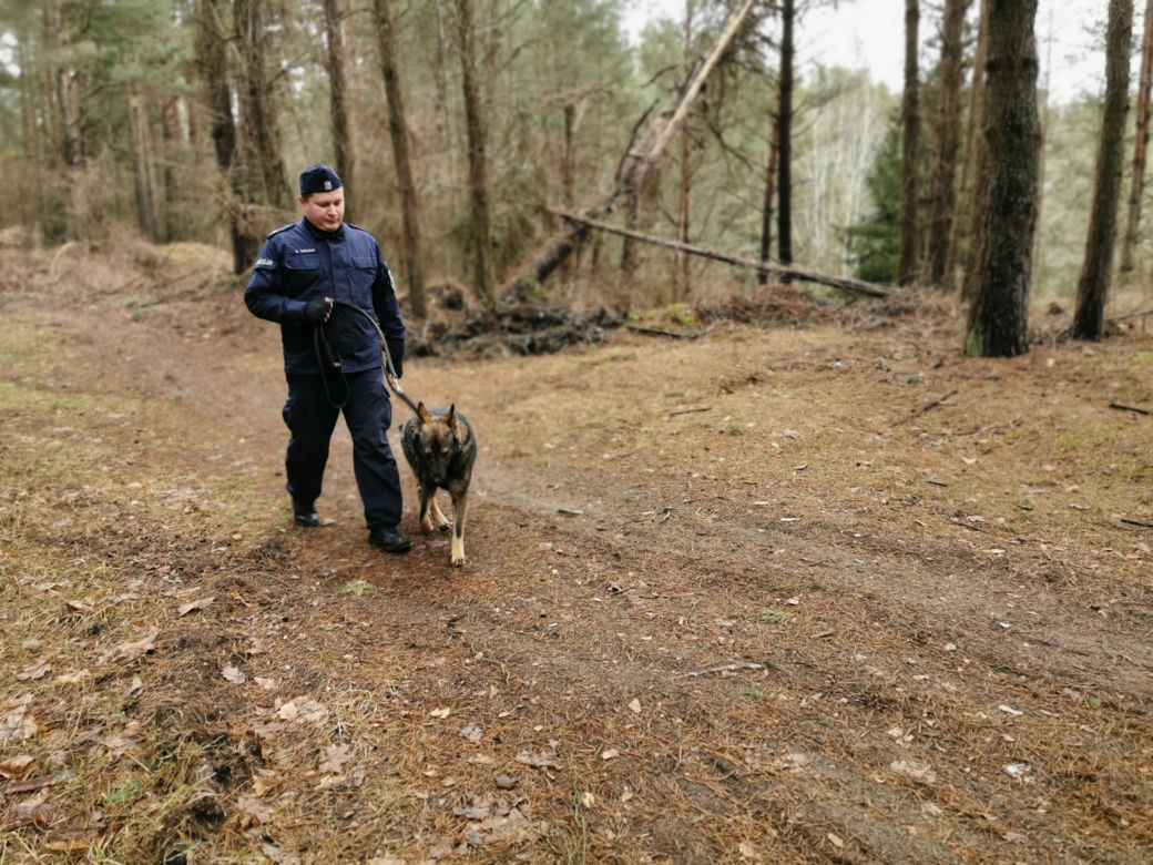Kafar - nowy pies policyjny w Białymstoku