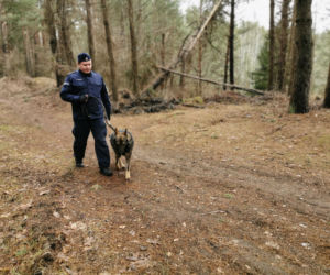 Kafar - nowy pies policyjny w Białymstoku