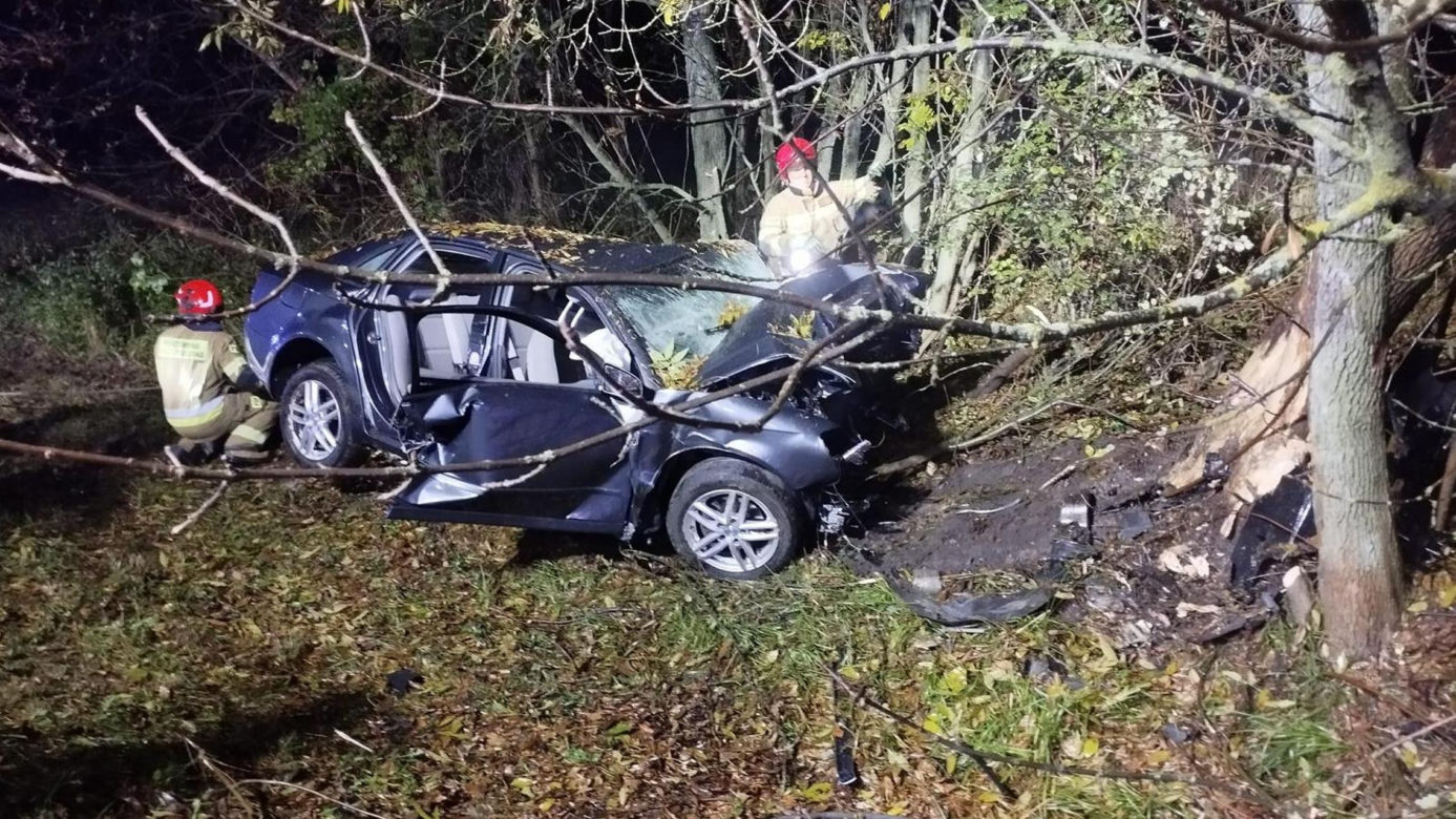 Śmiertelny wypadek pod Bełchatowem. 29-latka uderzyła audi w drzewo [ZDJĘCIA]