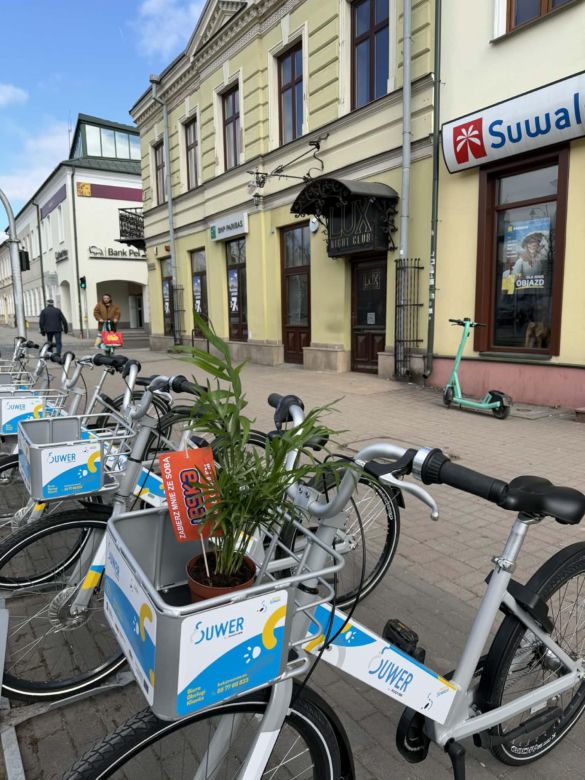 Darmowe palmy na ulicach Suwałk! Niezwykła akcja Radia ESKA