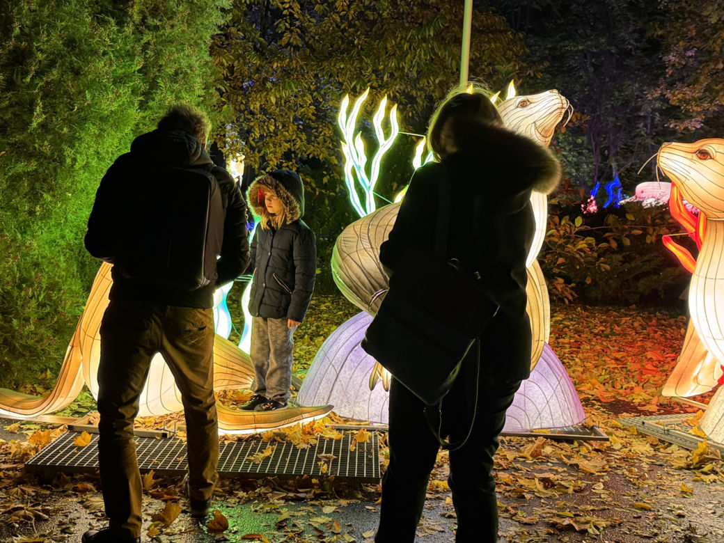 Garden of Lights we Wrocławiu