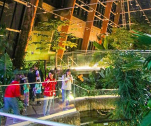 12. Wyjątkowe wydarzenie w Sosnowcu. Egzotarium zaprasza na magiczną noc