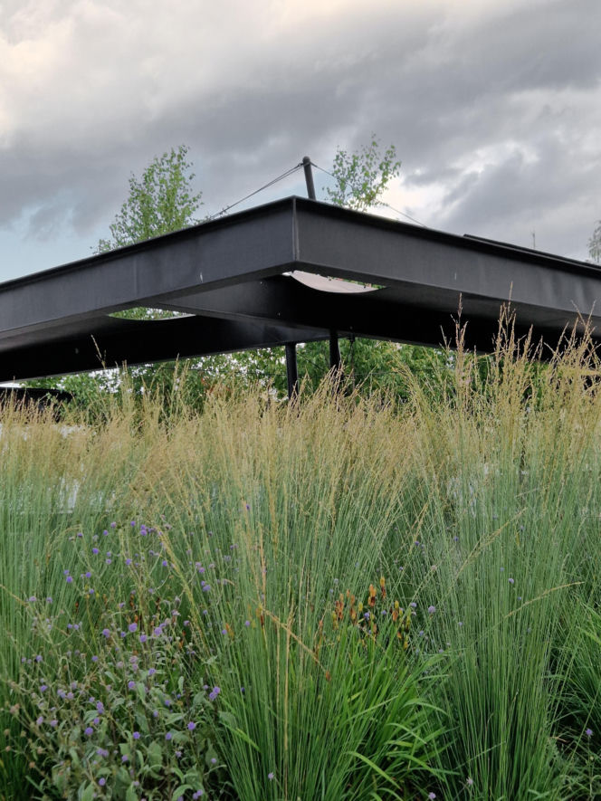 Plac Handlowy w Gorzycach. Bartosz Bukowski i Michał Woźniak