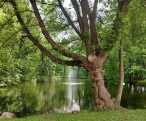 Wijewo - ukryty skarb Wielkopolski, gdzie historia królów spotyka się z błękitem jezior
