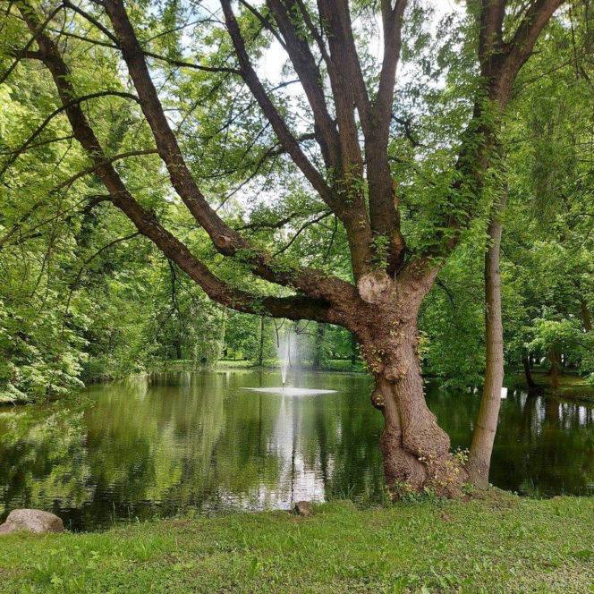 Wijewo - ukryty skarb Wielkopolski, gdzie historia królów spotyka się z błękitem jezior