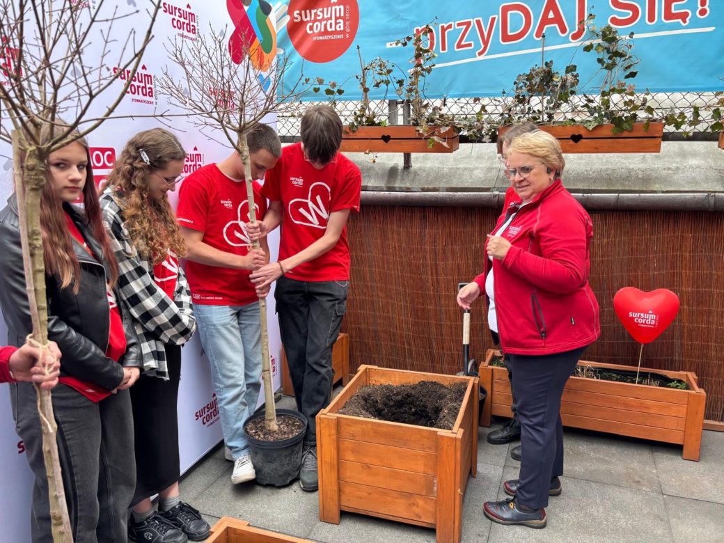 Sursum Corda sadzi drzewa na 25 urodziny 