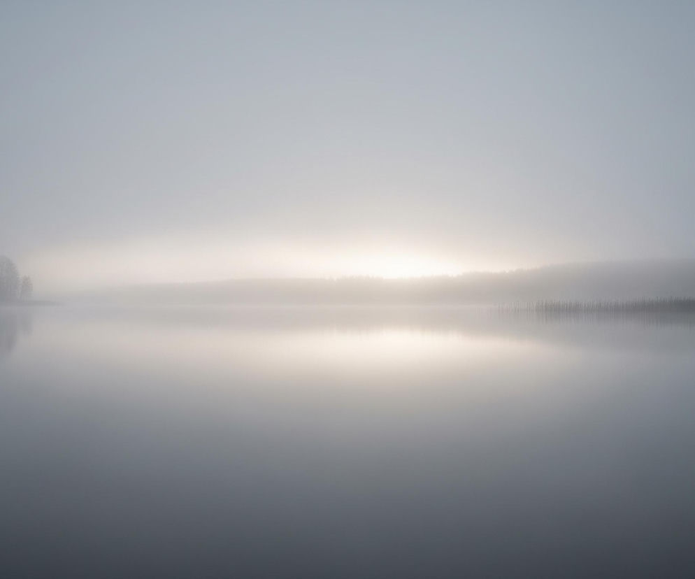 Centralną część kadru zajmuje gładka powierzchnia wody, w której odbija się otoczenie. Ponad wodą unosi się gęsta mgła, sprawiająca, że krajobraz jest rozmyty i jednolicie szary. Na lewym brzegu widać zarys drzew, a w oddali, nad linią horyzontu, przebija się jaśniejsze światło, tworząc bladą, żółtawo-białą smugę. Prawa strona brzegu również jest zarośnięta, z niewyraźnymi ciemnymi pionowymi kształtami, prawdopodobnie szuwarami, także odbijającymi się w spokojnej tafli.