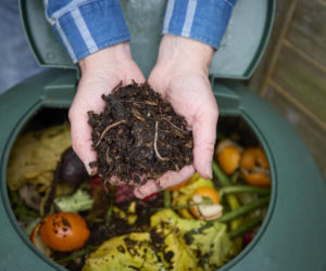 Ekologiczne rozwiązanie. Kompostowniki do ogrodu - ile za nie zapłacimy wiosną 2026?