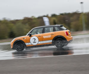 Bridgestone Driveguard