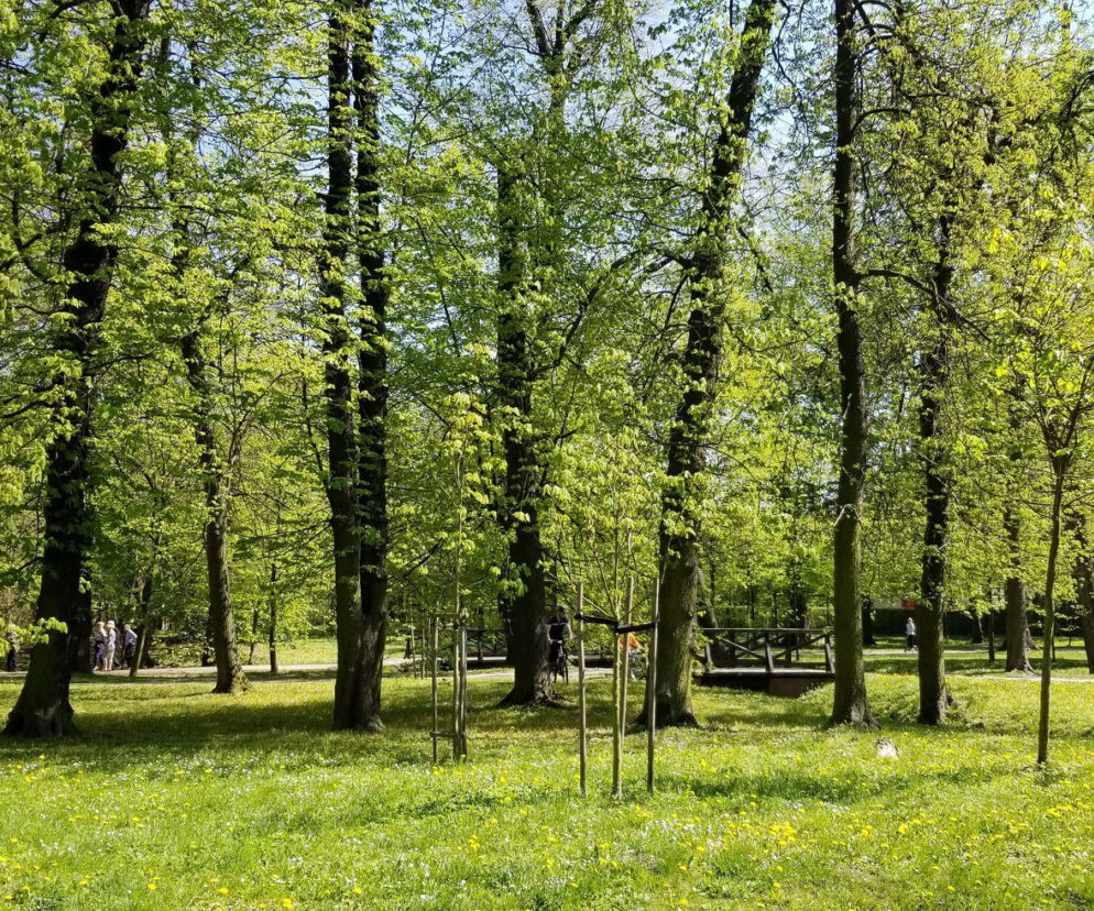 W kwietniu ruszają prace remontowe na Placu Indyjskim oraz Mongolskim na wrocławskim Brochowie. 