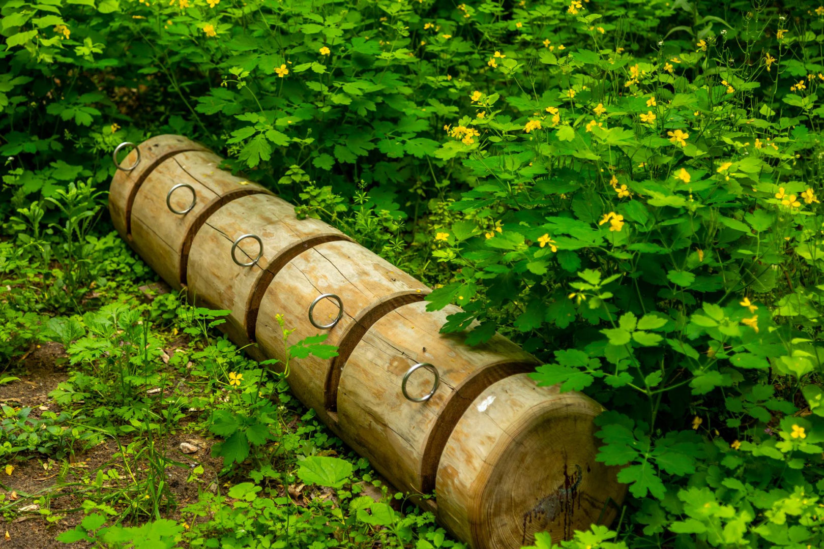 Park Żerański w Warszawie