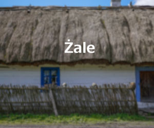Żale