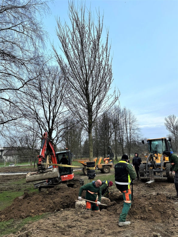 Park Ogród Płaszów się rozrasta. Wkrótce zazielenią się nowe drzewa