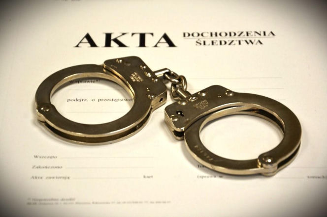 Przyjechali do Polski, żeby kraść! Teraz za to odpowiedzą