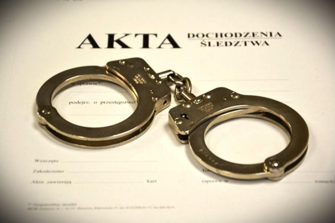 Przyjechali do Polski, żeby kraść! Teraz za to odpowiedzą