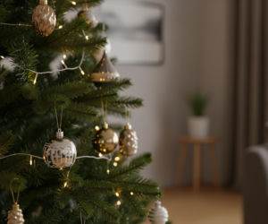 Żywa czy sztuczna choinka na święta? Leśnicy podpowiadają, co wybrać