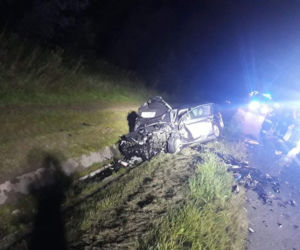 Jeleń doprowadził do tragedii w Małopolsce