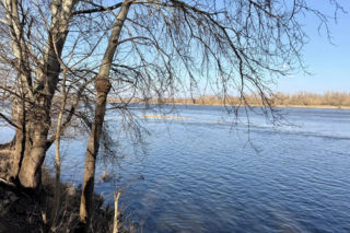 Tajemnicza śmierć Norwega