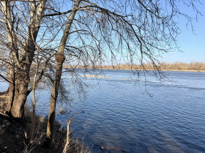 Tajemnicza śmierć Norwega