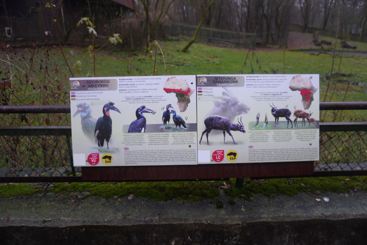 Zoo w Poznaniu zimą
