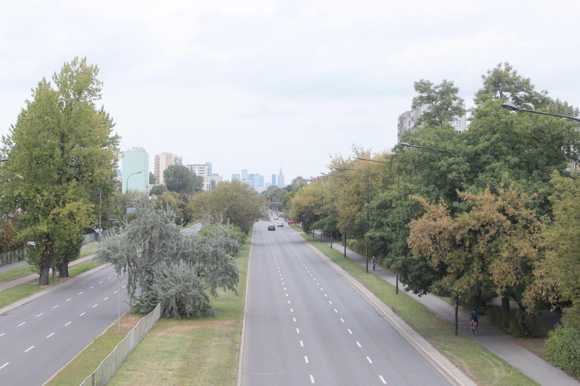Tramwajarze wytną setki drzew pod budowę trasy tramwajowej do Wilanowa