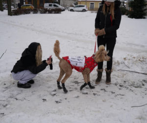 Schronisko dla psów w Sobolewie zamknięte. Jeszcze w sobotę, 24 stycznia, protestowali pod nim mieszkańcy [ZDJĘCIA].