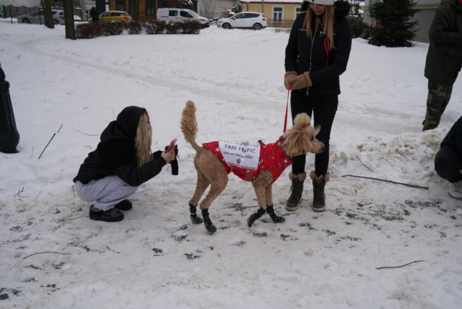 Schronisko dla psów w Sobolewie zamknięte. Jeszcze w sobotę, 24 stycznia, protestowali pod nim mieszkańcy [ZDJĘCIA].