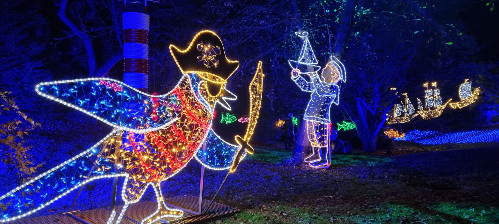 Ogród Botaniczny po zmroku zamienia się w magiczny ogród [GALERIA]