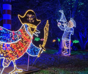Ogród Botaniczny po zmroku zamienia się w magiczny ogród [GALERIA]