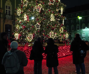 Choinka przed urzędem miasta w Szczecinie