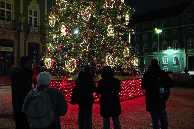 Choinka przed urzędem miasta w Szczecinie