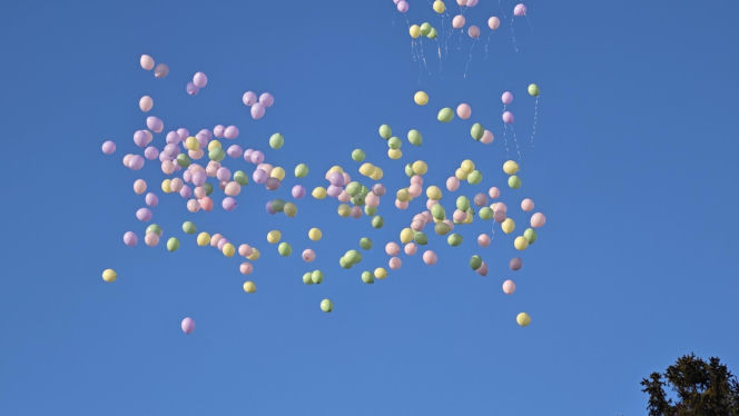 Kolorowe kwiaty okryły trumnę Anity. Wzruszające słowa księdza. "Każdy z nas chciałby mieć taki pogrzeb"