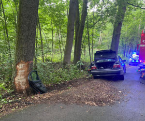 Dąbrowica: Bmw uderzyło w drzewo. 18-latek zakleszczony w pojeździe
