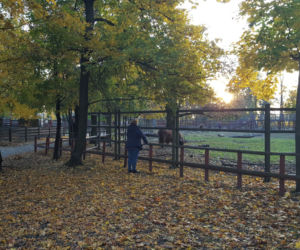 Park 1000-lecia w Lesznie na chwilę przed zachodem słońca