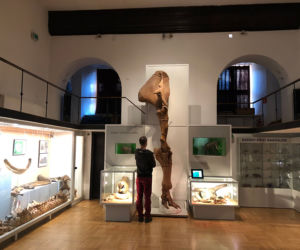 Mamut w metrze
