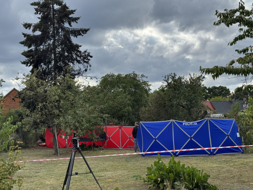 Wypadek awionetki w Krzycku Wielkim