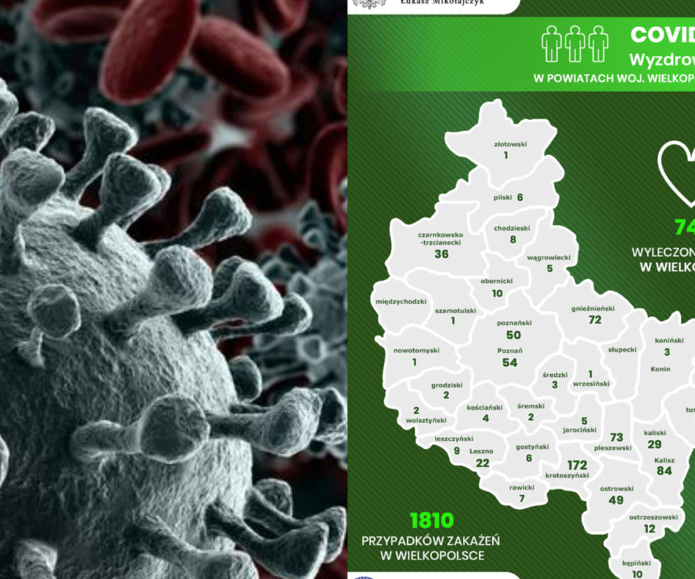 Koronawirus w Wielkopolsce