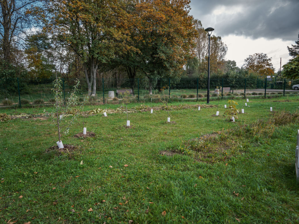 3. miejsce to Sosnowiec