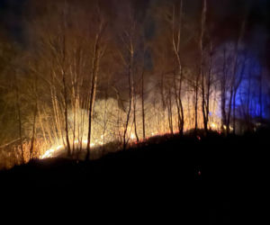 Pożar objął powierzchnię około 11 hektarów nieużytków