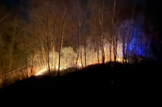 Pożar objął powierzchnię około 11 hektarów nieużytków