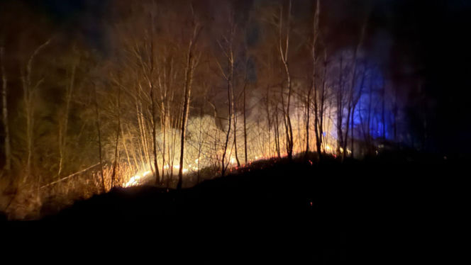 Pożar objął powierzchnię około 11 hektarów nieużytków