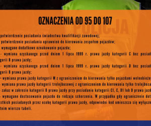 Masz te cyfry na prawie jazdy? Możesz mieć problemy w trakcie kontroli drogowej [ZDJĘCIA]