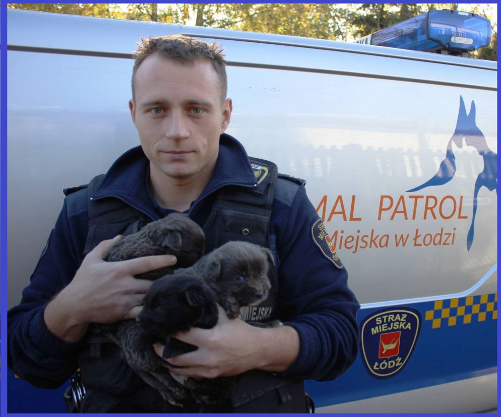 ANIMAL PATROL uratował szczeniaki przed utonięciem
