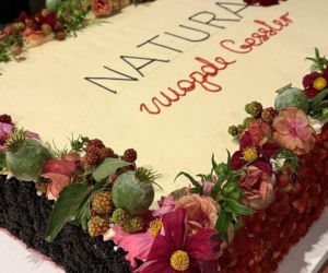 Magda Gessler otwiera restaurację Natura. Tak szalała na parkiecie